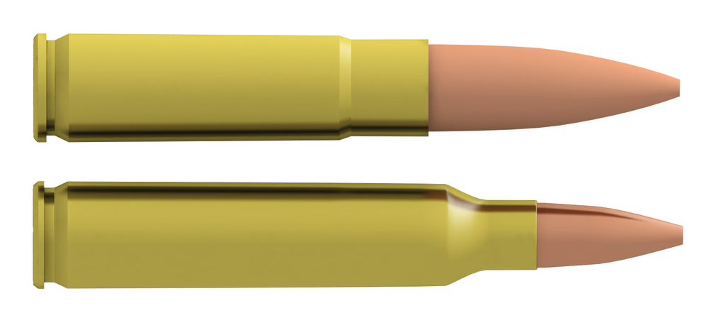 300 Whisper And 5 56x45 11360824