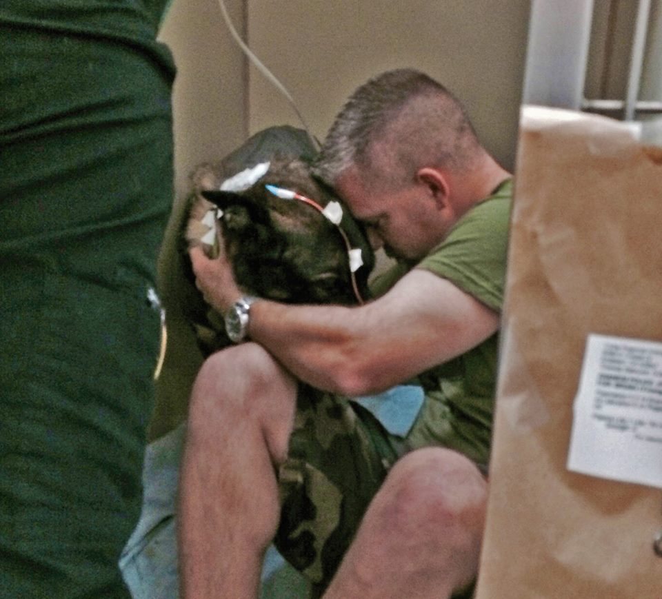 Anaheim Police Officer R.J. Young visits with K-9 Bruno, who is recovering after being shot by a suspect last week.