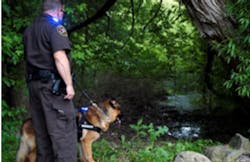 425 11533560 425 11533560