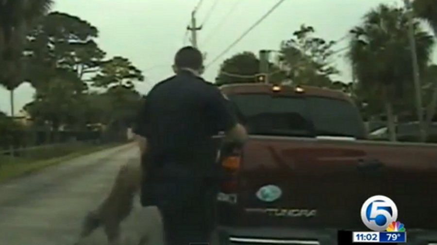 A dashcam video shows Stuart Officer Joe Calderone being attacked during a traffic stop on June 12.