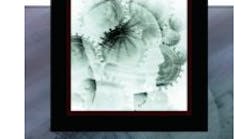 Investigative Dc2falu0tnjfc Investigative Dc2falu0tnjfc