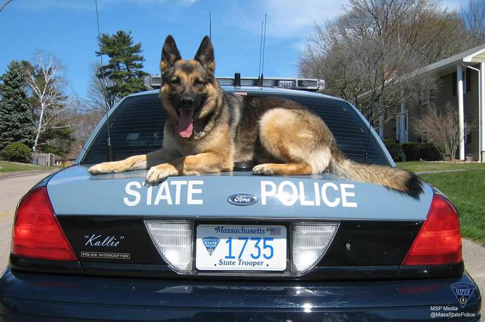 A Massachusetts State Police trooper who had to put his K-9 partner down last month wrote a touching letter posted on the agency's Facebook page.