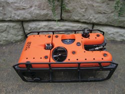 Triggerfish T4h 11498639 Triggerfish T4h 11498639