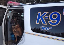 Anchorage K-9 MP Anchorage K-9 MP
