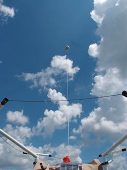 Bib 100 1 11598162 Bib 100 1 11598162