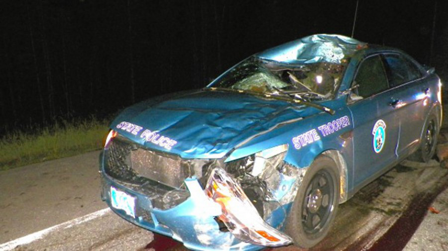 Trooper Dennis Quint hit a moose late Tuesday night as he responded to an earlier moose-vehicle collision in Cyr Plt.
