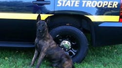 Officials say that a fugitive assaulted K-9 Ripper as troopers tried to arrest the man Tuesday afternoon.