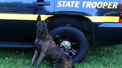 Officials say that a fugitive assaulted K-9 Ripper as troopers tried to arrest the man Tuesday afternoon.