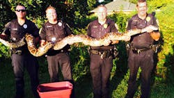 Port St. Lucie police responded to reports that an extremely large snake had been feasting on cats.
