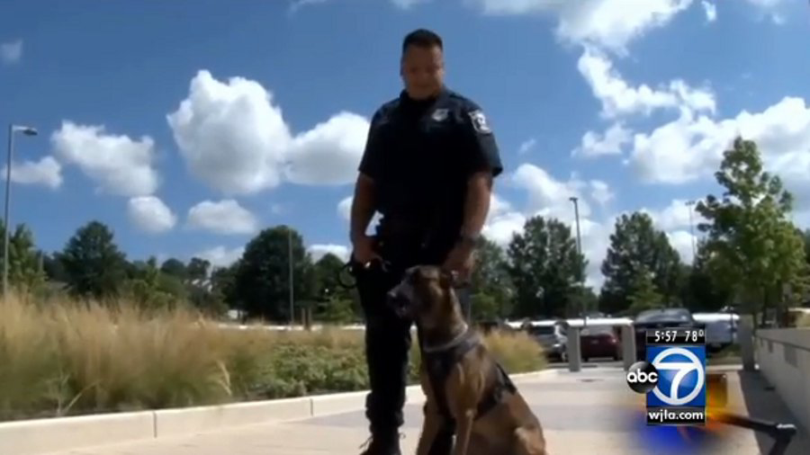 Shelter Dog Becomes Virginia Police K-9 | Officer