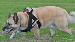 Guardian Angel K9 Mount 5411da3651ffe Guardian Angel K9 Mount 5411da3651ffe