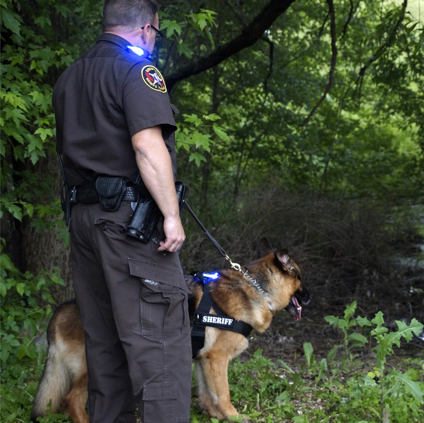 K9 Harness Guardian Angel Personal Safety Device From Guardian Angel