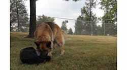 Bear Kozlowski 8 18 14 184 5421de54e1685 Bear Kozlowski 8 18 14 184 5421de54e1685