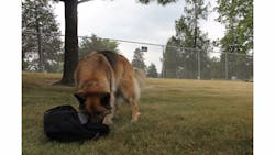 Bear Kozlowski 8 18 14 184 5421de54e1685 Bear Kozlowski 8 18 14 184 5421de54e1685