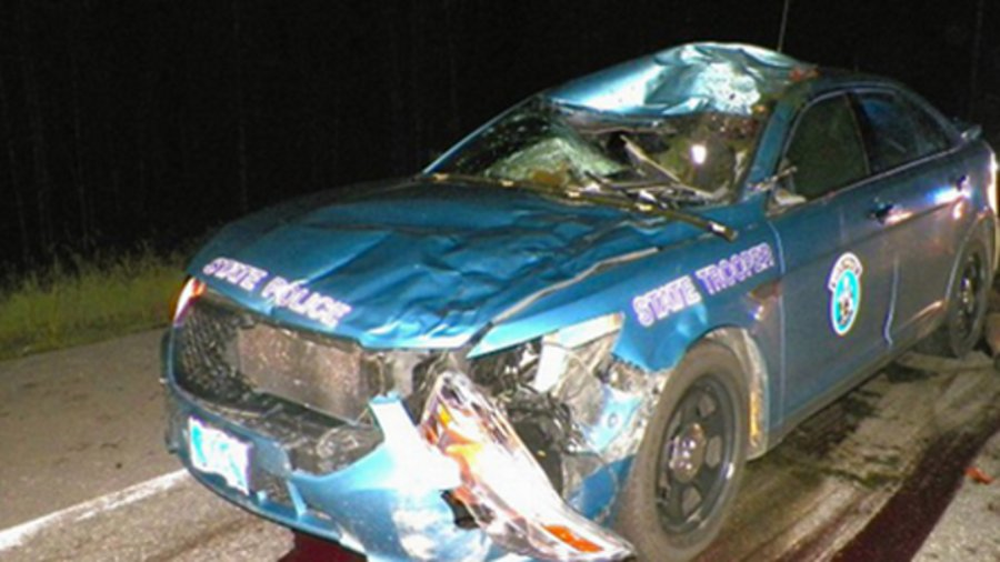 Researchers and police officials focused on what can be done to reduce the number of traffic-related deaths and injuries.