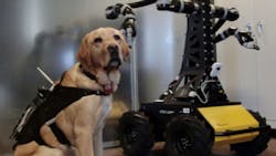 Searchandrescue 54e32bcaecfae Searchandrescue 54e32bcaecfae