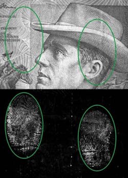 Spirulina 55156dea3c72f Spirulina 55156dea3c72f