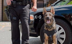 K9 555baea2b717d K9 555baea2b717d