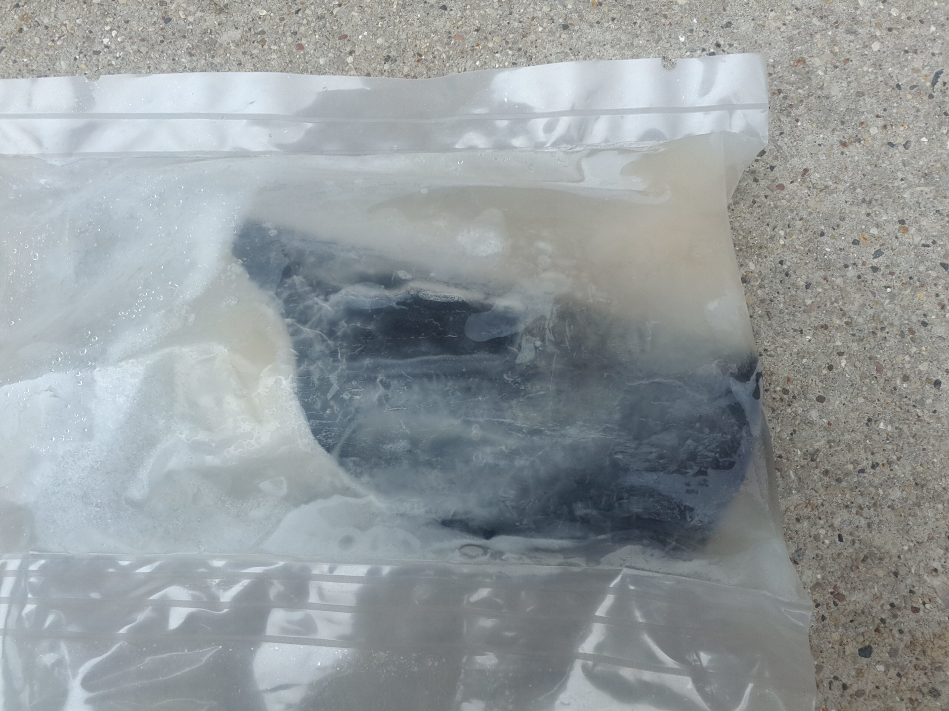 The original bag of water, frozen.