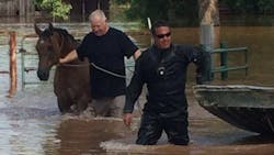 Deputies with the Caddo Parish Sheriff's Office rescued a horse that became stranded in floodwaters Thursday afternoon. Deputies with the Caddo Parish Sheriff's Office rescued a horse that became stranded in floodwaters Thursday afternoon.
