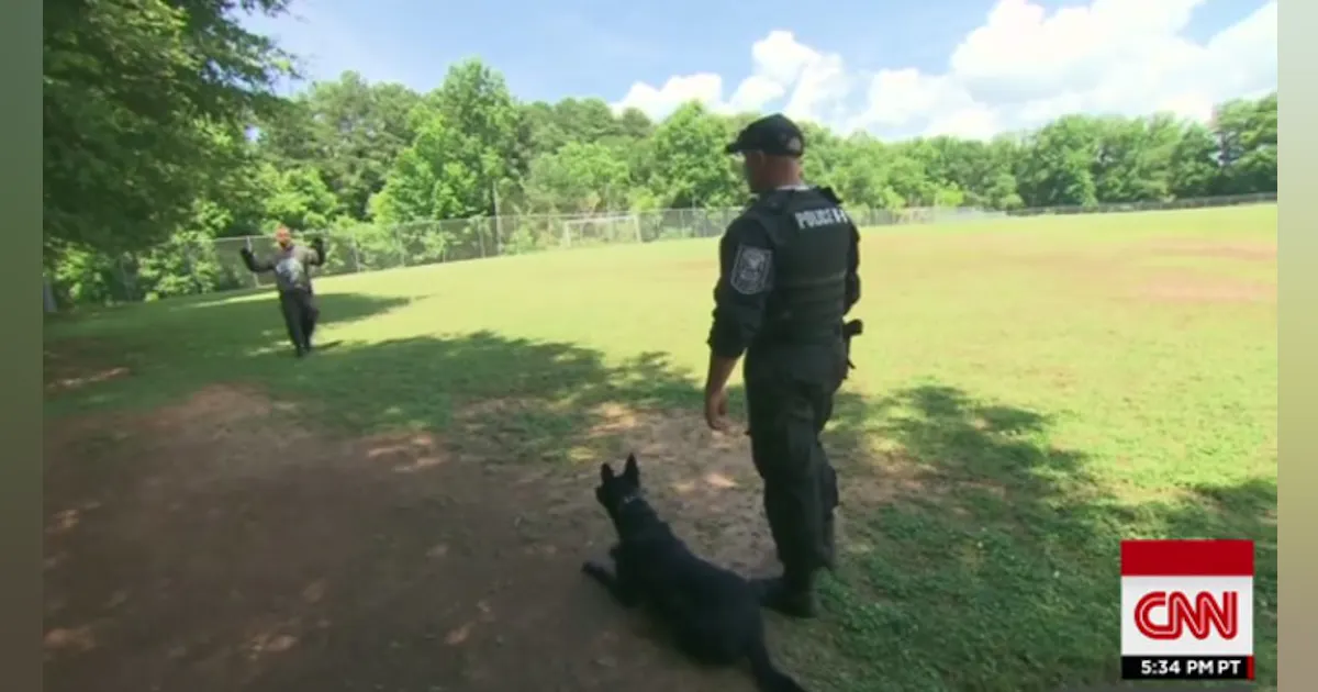 Pd Rocco How Police Dogs Track Down Fugitives | Officer