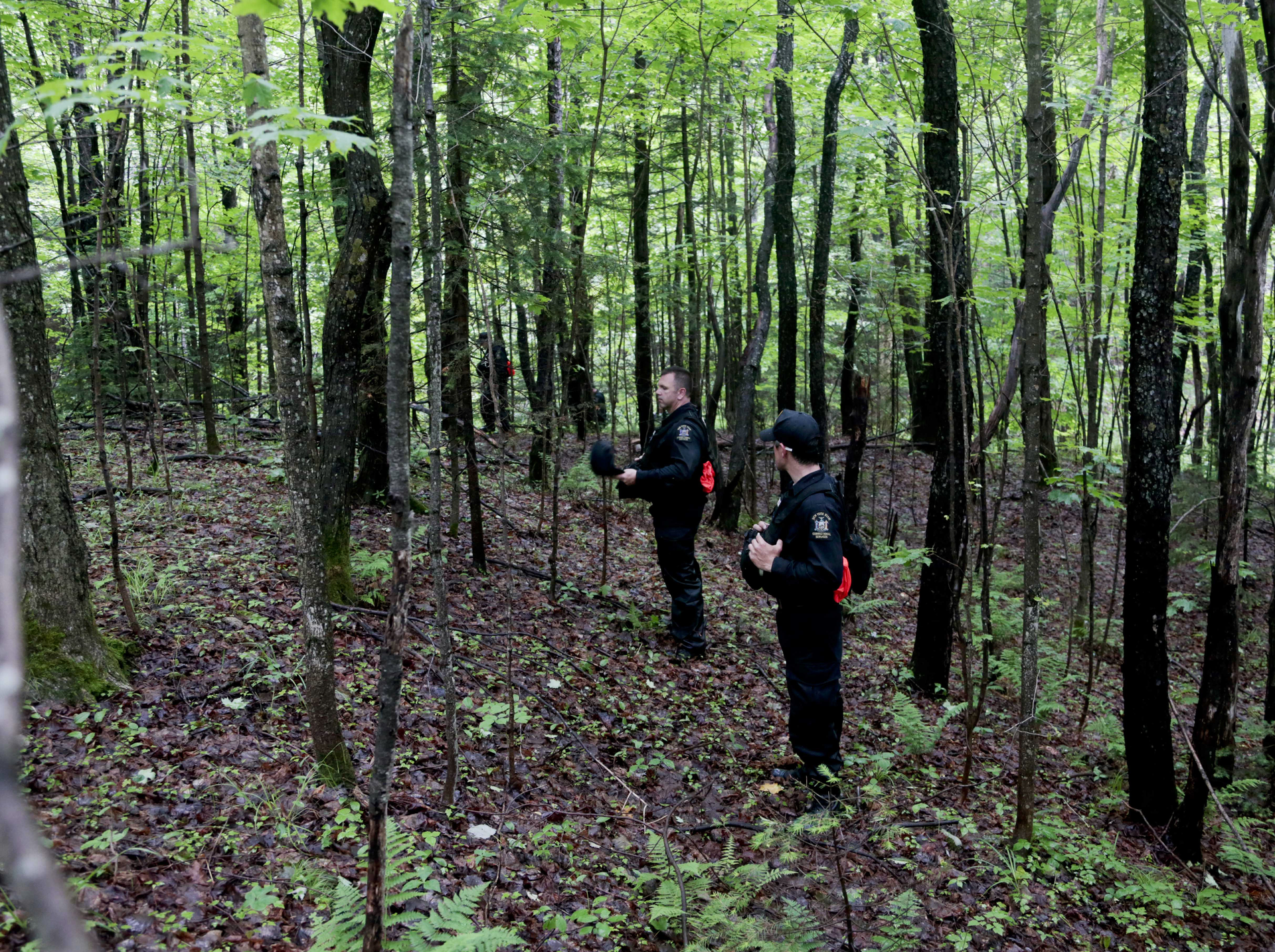 Corrections officers walk through woods while searching for two prison escapees from Clinton Correctional Facility in Dannemora on June 23 in Owls Head, N.Y.