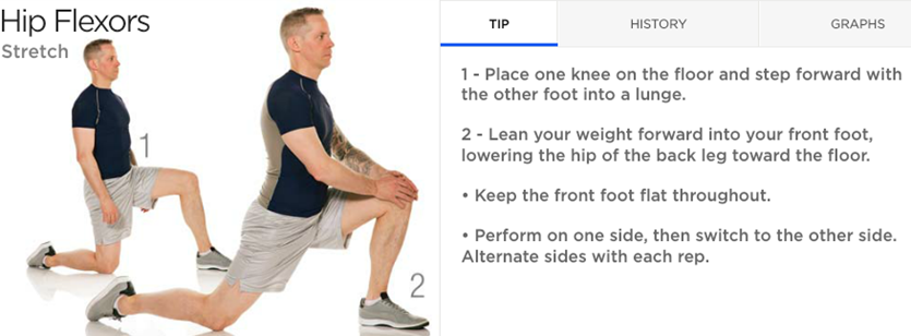 Hip Flexor 559c44b7eb1a7