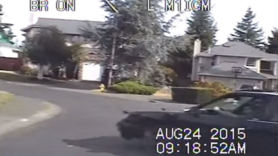 An Auburn police officer stopped a suspect who was driving a car carrying pipe bombs through a neighborhood last month.