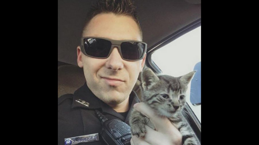 Officer Hodges of the Duson Police Department found the abandoned kitten while he was investigating a crime.