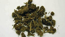 Marijuana cases seem to be the focus of many court decisions that impact how we work. Marijuana cases seem to be the focus of many court decisions that impact how we work.