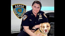 ASPCA Special Investigator Diane DiGiacomo ASPCA Special Investigator Diane DiGiacomo