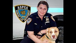 ASPCA Special Investigator Diane DiGiacomo