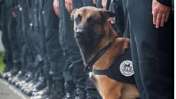 France K-9 Diesel was killed Wednesday during a raid targeting the suspected mastermind of the deadly terror attacks in Paris. France K-9 Diesel was killed Wednesday during a raid targeting the suspected mastermind of the deadly terror attacks in Paris.