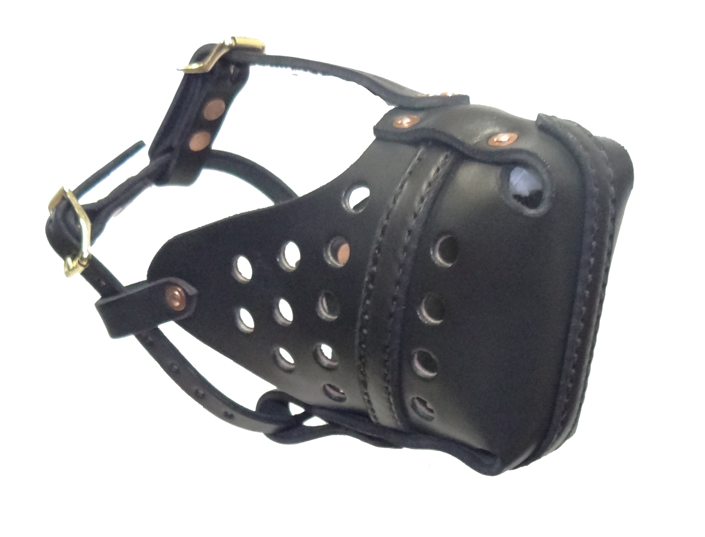New Police Muzzle 51yzhjpctq7j6 Cuf