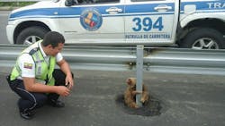 Transit officers in Ecuador recently came to the rescue of a sloth attempting to cross a road in the province of Los Rios. Transit officers in Ecuador recently came to the rescue of a sloth attempting to cross a road in the province of Los Rios.