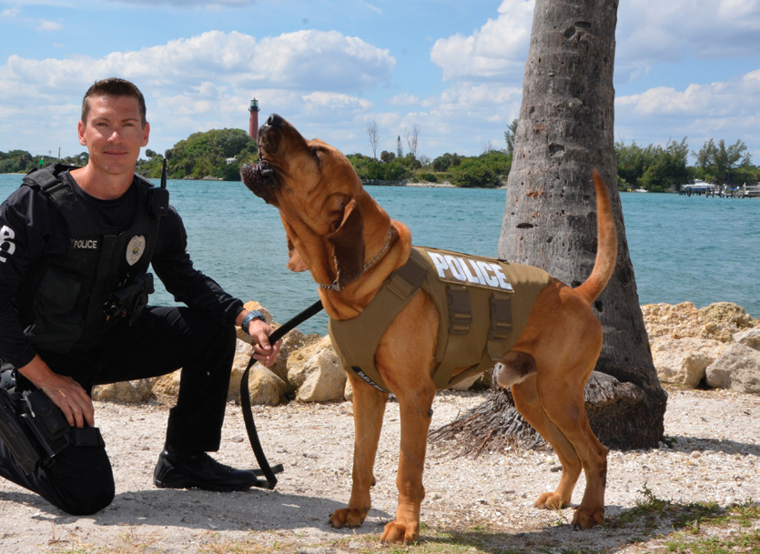 Tactical TEX10 K 9 Product Release 5 56c34a464eee1