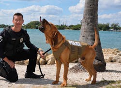 Tactical Tex10 K 9 Product Release 5 56c34a464eee1 Tactical Tex10 K 9 Product Release 5 56c34a464eee1