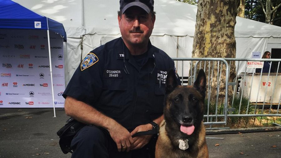 NYPD Transit K-9 Officer John O'Connor, left, and K-9 Wyatt