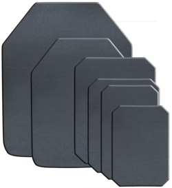 Speed Plates Plus 2016 56f2ac94db20f Speed Plates Plus 2016 56f2ac94db20f