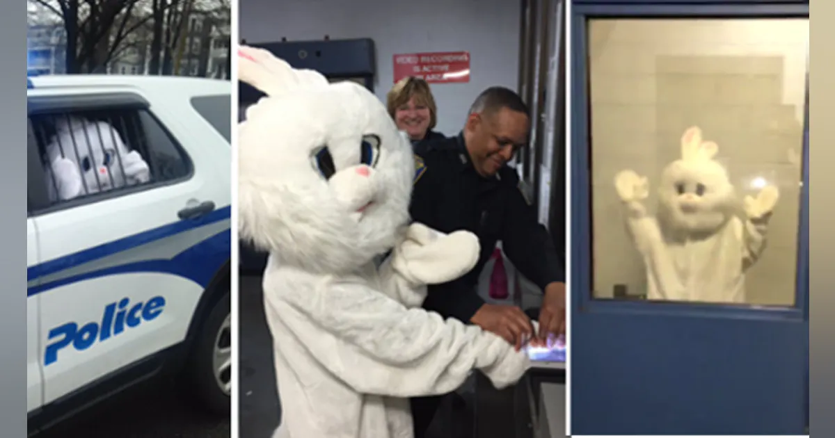 Police Rabbit Easter Photos: Boston Police Arrest Easter Bunny | Officer