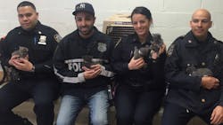 A group of NYPD officers in Brooklyn saved a half-dozen kittens found trapped in a suitcase last week. A group of NYPD officers in Brooklyn saved a half-dozen kittens found trapped in a suitcase last week.