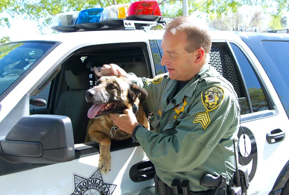 Since K-9 Nicky has returned to duty, Sgt. Eric Kerns says the two have picked up right where they left off.