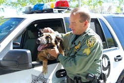 Since K-9 Nicky has returned to duty, Sgt. Eric Kerns says the two have picked up right where they left off. Since K-9 Nicky has returned to duty, Sgt. Eric Kerns says the two have picked up right where they left off.