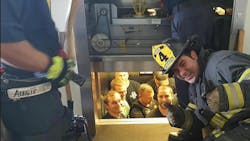 A dozen Kansas City police officers had to swallow their pride as firefighters rescued them from an elevator that malfunctioned inside the police academy. A dozen Kansas City police officers had to swallow their pride as firefighters rescued them from an elevator that malfunctioned inside the police academy.