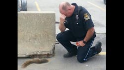 A picture of Officer Dave Bowes kneeling next to the dead squirrel corpse with his head bowed was posted and followers offered up their condolences. A picture of Officer Dave Bowes kneeling next to the dead squirrel corpse with his head bowed was posted and followers offered up their condolences.