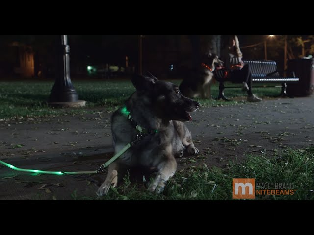 Sddefault 9birfxj7keznc Cuf