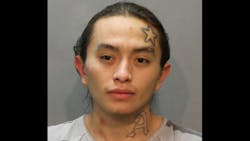 Linn Crossdog Linn Crossdog