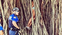 Key West Police Officer Scott Standerwick helped rescue a local woman who became stuck in a giant banyan tree. Key West Police Officer Scott Standerwick helped rescue a local woman who became stuck in a giant banyan tree.