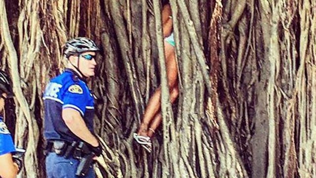 Key West Police Officer Scott Standerwick helped rescue a local woman who became stuck in a giant banyan tree.