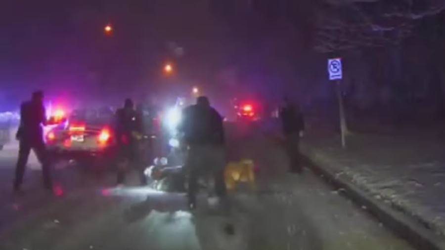 The video shows Kentwood Police Officer Darrin Cline fire twice at 43-year-old Lamont Gulley as the suspect waves a knife at a police dog trying to subdue him.